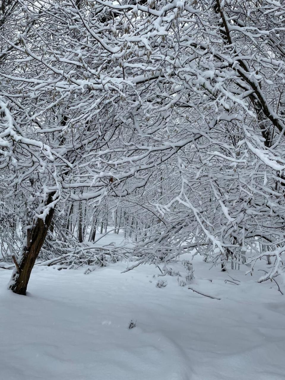 Садиба Бабина Лоза Lisove  Exteriér fotografie